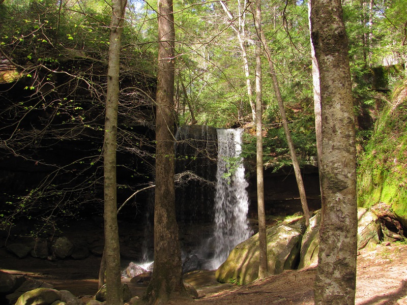 northalabamahiking.com logo